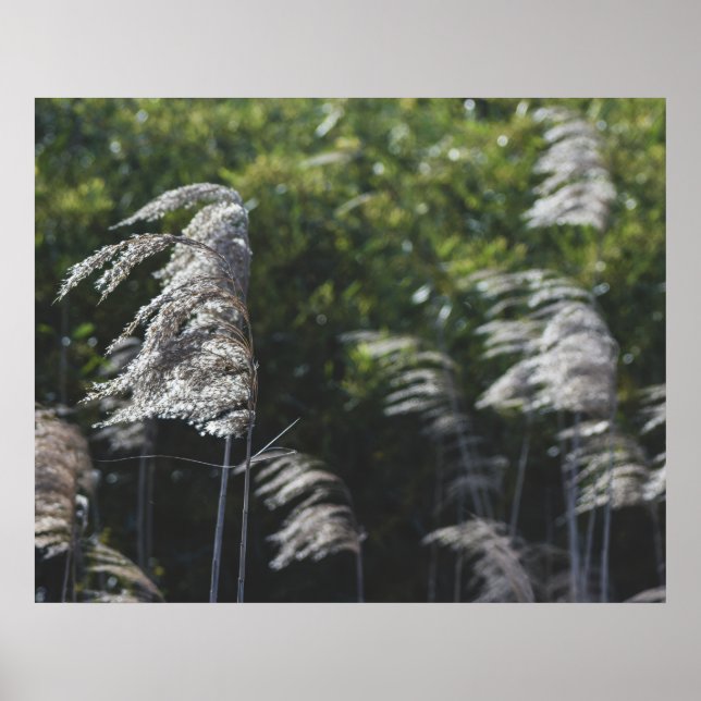 Póster Modern Abstract Botanical Art – Nature Shapes (Frente)