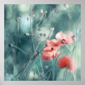 Póster Modern Abstract Dreamy Pink Teal Poppies Floral