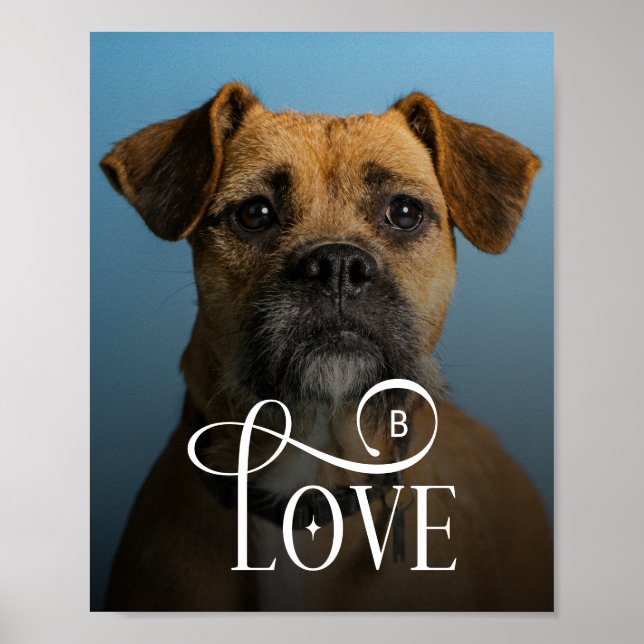 Póster Modern Love Custom Boxer Dog Pets Photo Monogram (Frente)