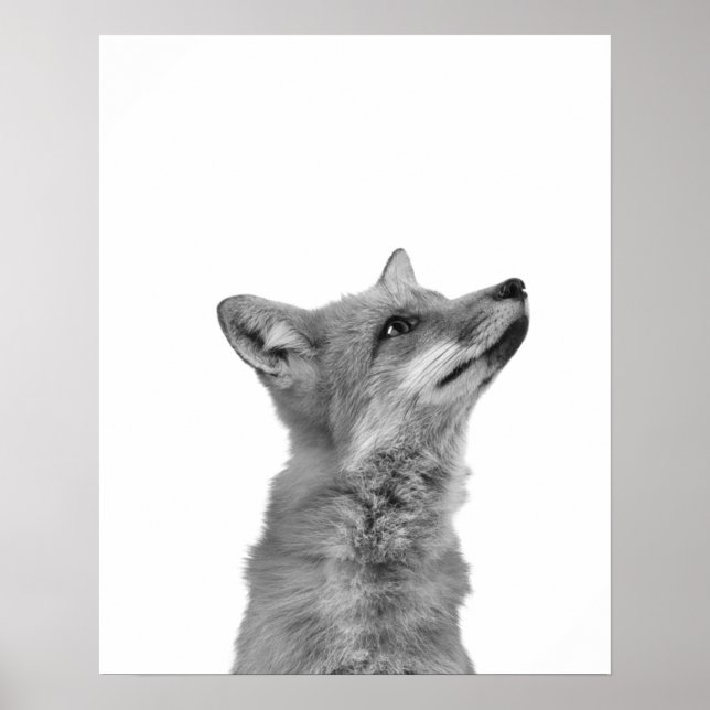 Póster Modern Monochromatic Fox Cabin Mountain (Frente)