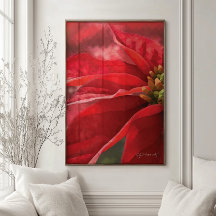 Modern Poinsettia Festive Christmas
