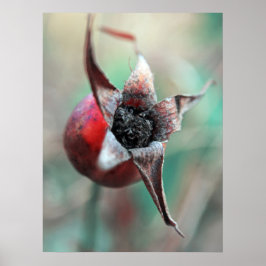 Póster Moderna y elegante macro de cadera Rosa abstracta