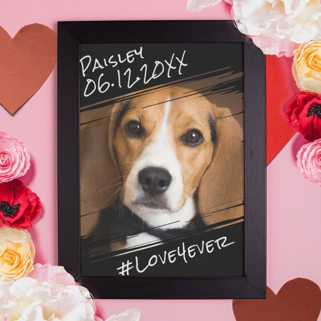 Póster Moderno Chic Elegante Sencillo Recuerdo de Perro N (Subido por el creador)