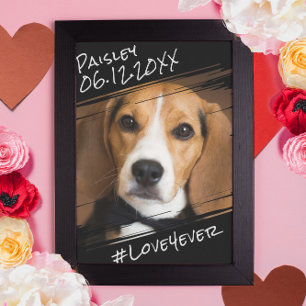 Póster Moderno Chic Elegante Simple Recuerdo de Perro Neg