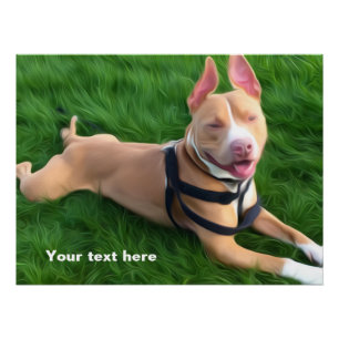 Poster moderno con el perro del pitbull en la