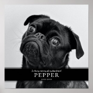 Póster Moderno En La Foto Conmemorativa Del Perro Mascota