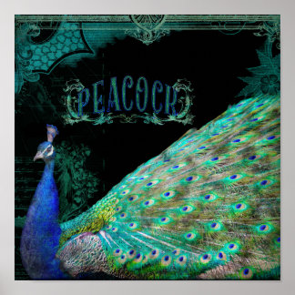 Póster Moderno Peacock Elegante Pared Art Side View