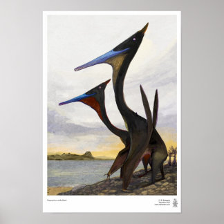 Póster Moganopterus en la playa