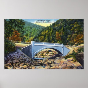 Póster Mohawk Trail View of Cold River Bridge