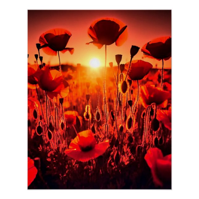 Póster Mohn im Gegenlicht (Anverso)