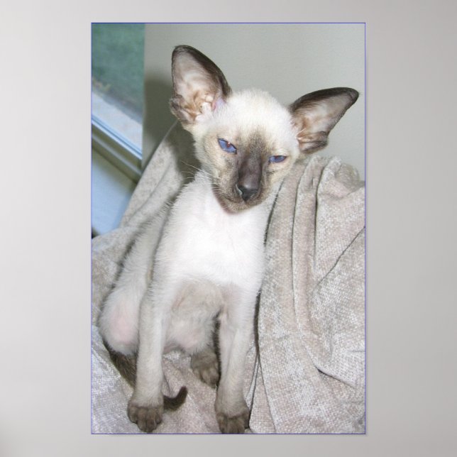 Póster Mojave el Grande (Frente)