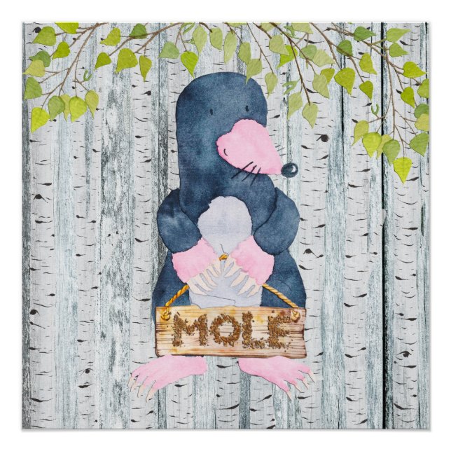 Póster Mole- Amigos de Woodland - ilustracion acuarela (Anverso)