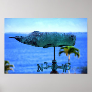 Póster Molinete de Ballena Jorobada