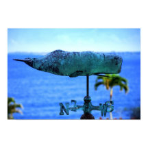 Molinete de Ballena Jorobada