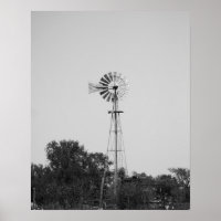 Molino blanco y negro en un campo de Texas 16x20