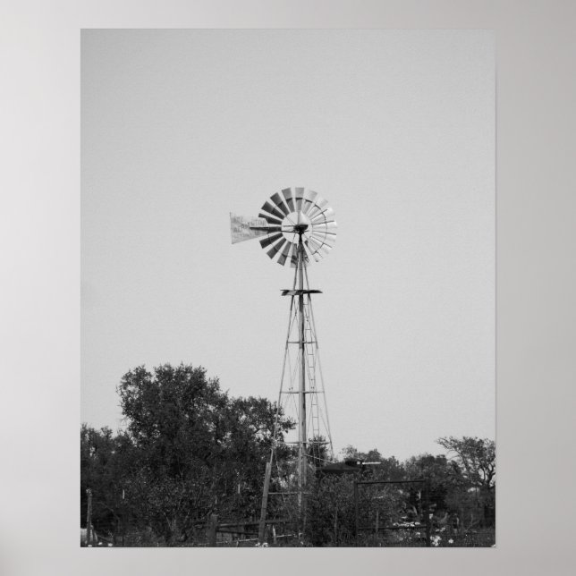 Póster Molino blanco y negro en un campo de Texas 16x20 (Frente)