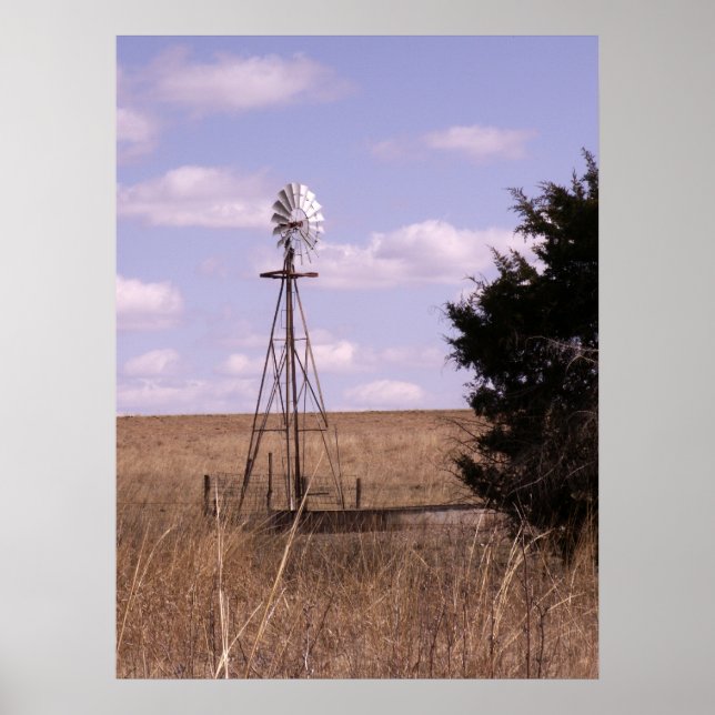 Póster Molino de viento BSFL (Frente)