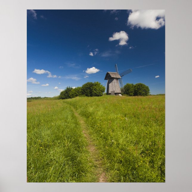 Póster Molino de viento en Mikhailovskoye (Frente)
