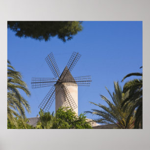 Póster Molino de viento, Palma, Mallorca, España