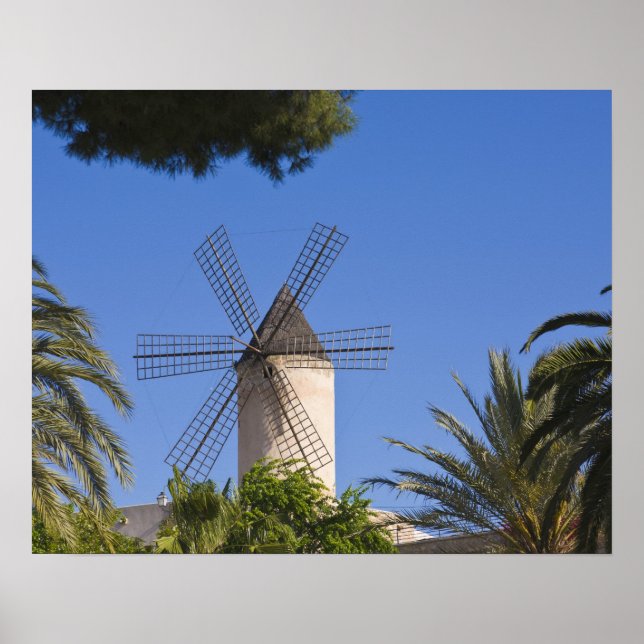 Póster Molino de viento, Palma, Mallorca, España (Frente)