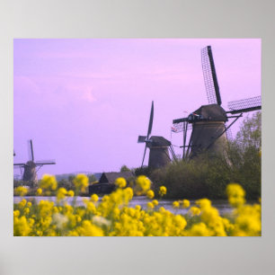 Póster Molinos de viento a lo largo del canal de Kinderdi