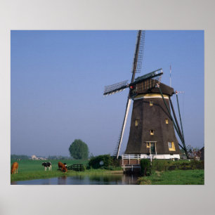 Póster Molinos de viento, Leidschendam (Países Bajos)