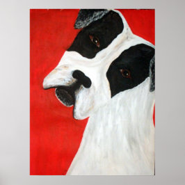 Póster Molly Dog