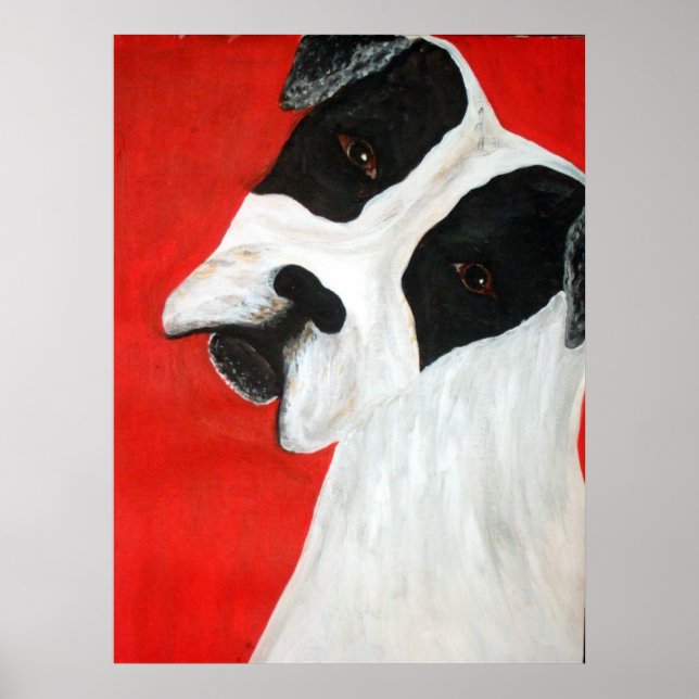 Póster Molly Dog (Frente)