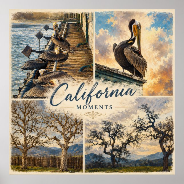 Póster Momentos de California (Frente)