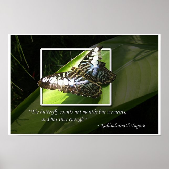 Póster Momentos en el tiempo (Frente)