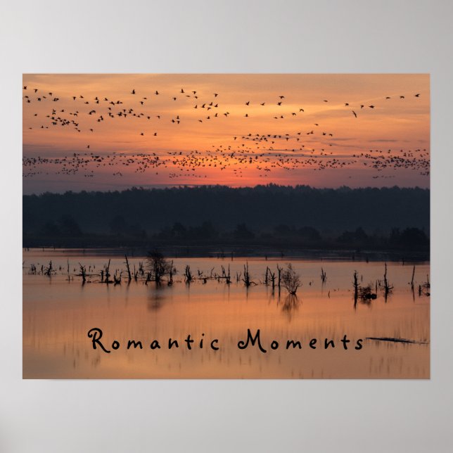 Póster Momentos románticos Aves al amanecer foto con text (Frente)