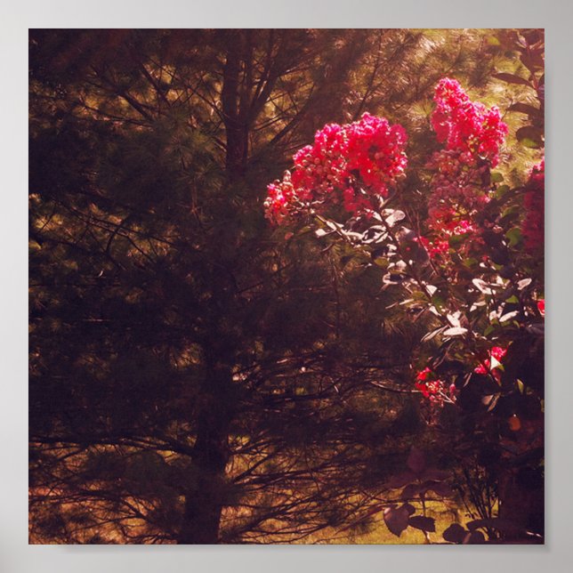 Póster Mom's Garden Print (Frente)