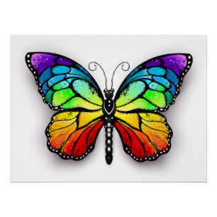 Póster Monarca de mariposa arco iris