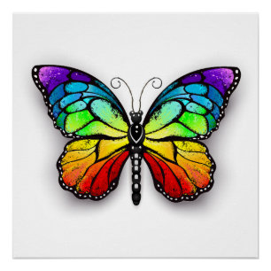 Póster Monarca de mariposa arco iris