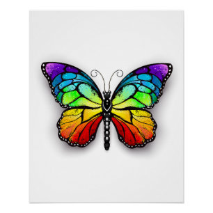 Póster Monarca de mariposa arco iris
