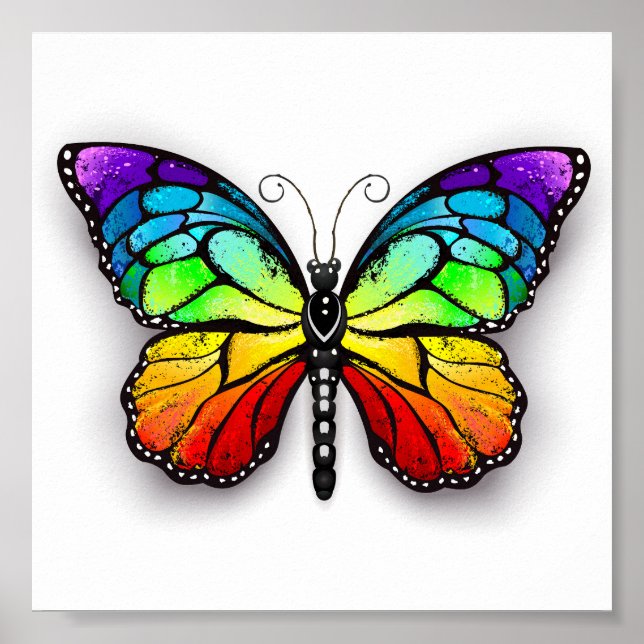 Póster Monarca de mariposa arcoiris (Frente)