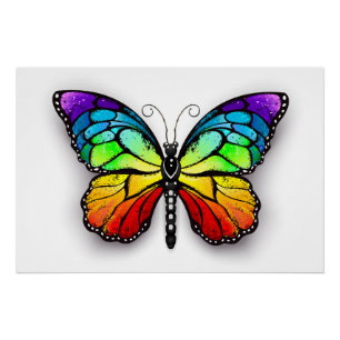 Póster Monarca de mariposa arcoiris