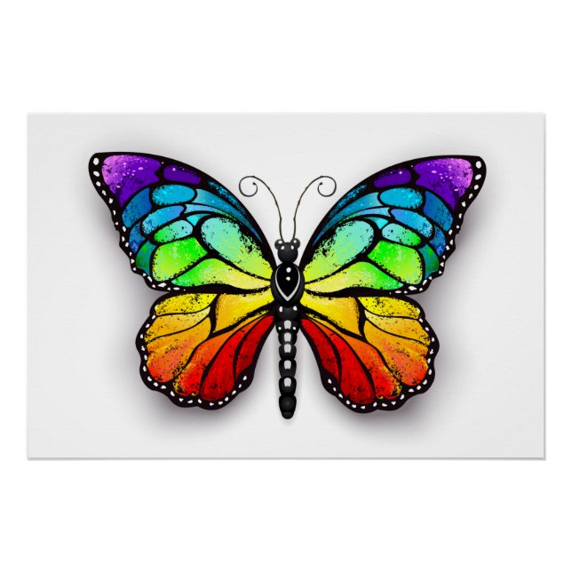 Póster Monarca de mariposa arcoiris (Anverso)