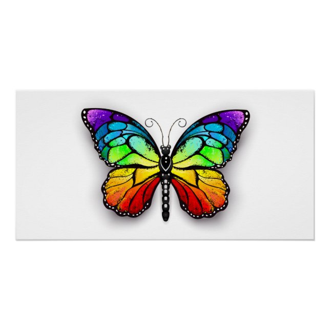 Póster Monarca de mariposa arcoiris (Anverso)