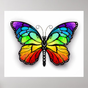 Póster Monarca de mariposa arcoiris