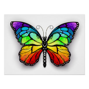 Póster Monarca de mariposa arcoiris
