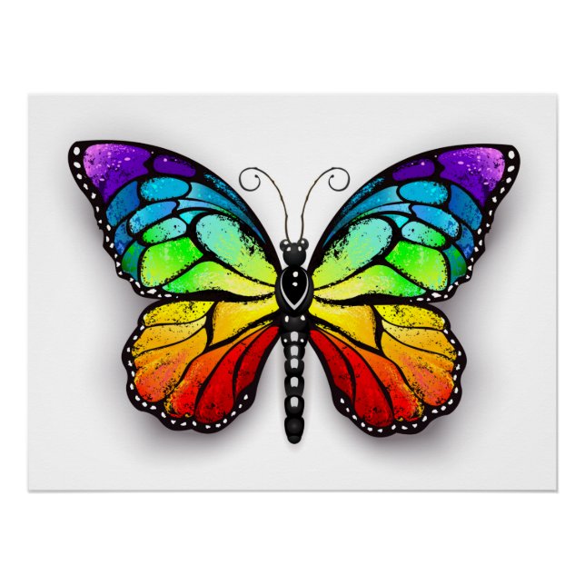Póster Monarca de mariposa arcoiris (Anverso)