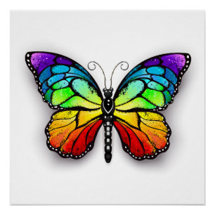 Póster Monarca de mariposa arcoiris
