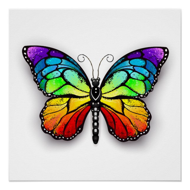 Póster Monarca de mariposa arcoiris (Anverso)