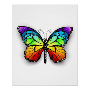 Póster Monarca de mariposa arcoiris