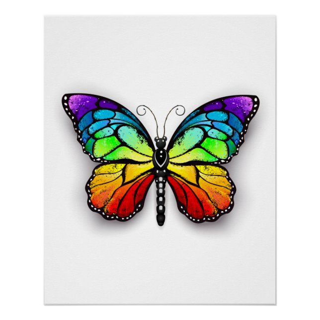 Póster Monarca de mariposa arcoiris (Anverso)
