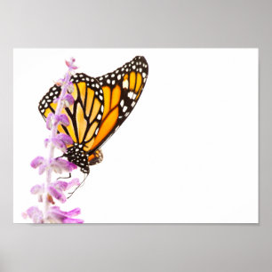 Póster Monarca encaramado en lavanda