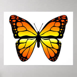 Póster Monarch Butterfly Poster