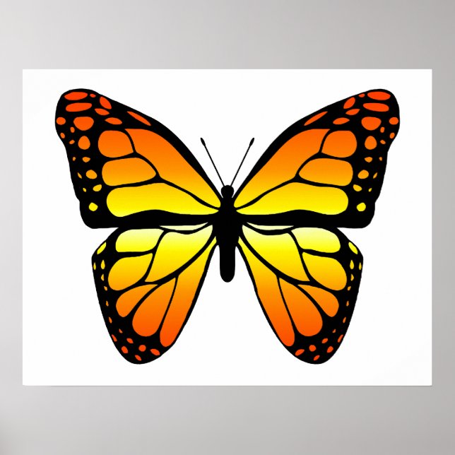 Póster Monarch Butterfly Poster (Frente)
