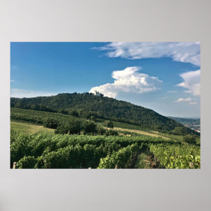 Póster Monasterio y Viñedo